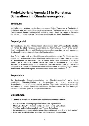 Projektbericht "Mehlschwalben im ... - BUND Konstanz