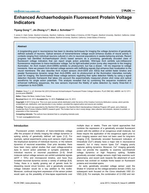 Enhanced Archaerhodopsin Fluorescent Protein Voltage Indicators