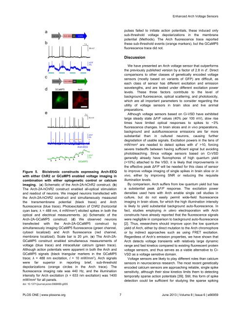 Enhanced Archaerhodopsin Fluorescent Protein Voltage Indicators