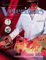 Spring/Summer 2001 - University of Missouri - College of Veterinary ...