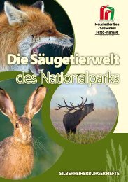 Die SÃ¤ugetierwelt des Nationalparks - FertÅ-HansÃ¡g Nemzeti Park