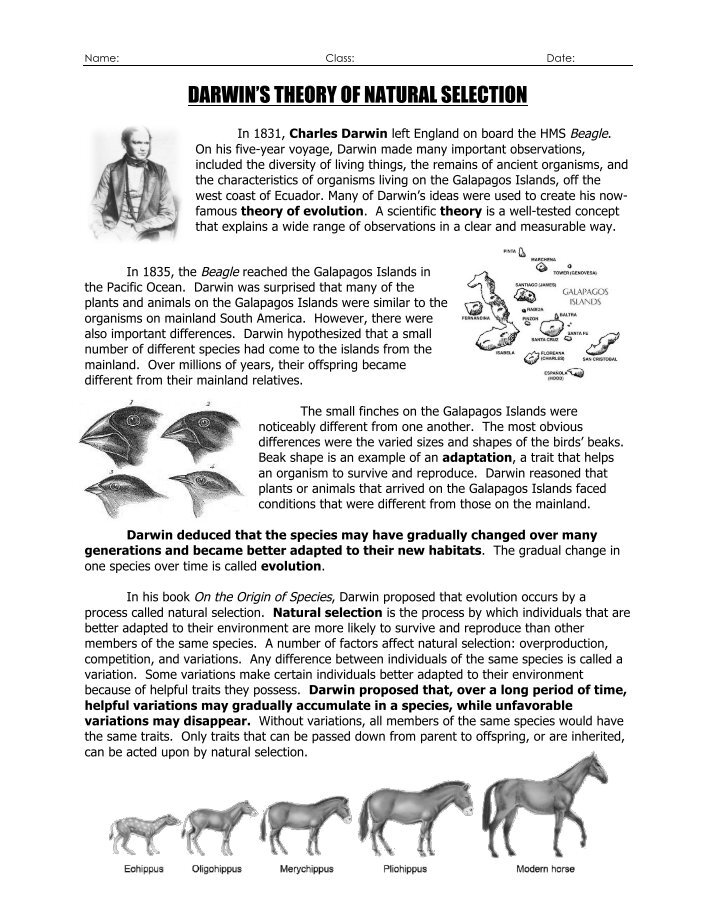 Darwin039s Natural Selection Worksheet Answers