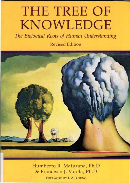 The story and meaning of the song 'Crash The Car - knower 