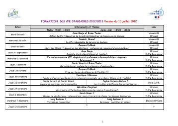 Plan Formation CPE - IUFM