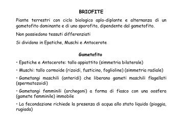 BRIOFITE - Sdasr.unict.it