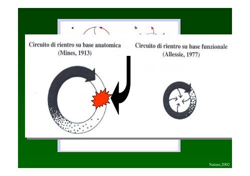 FIBRILLAZIONE ATRIALE: UP TO DATE - Cuorediverona.it