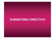 SUBSISTEMA DIRECTIVO