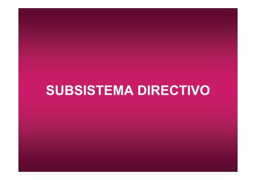 SUBSISTEMA DIRECTIVO