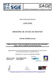 JUIN 2008 MEMOIRE DE STAGE DE MASTER - LEESU