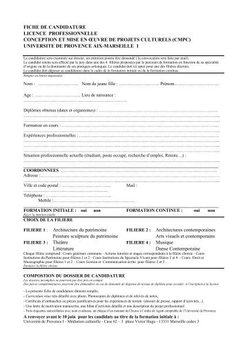 fiche de candidature licence professionnelle conception et mise en ...