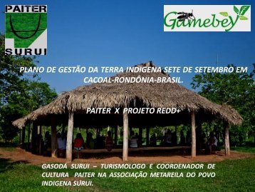 plano de gestÃ£o da terra indigena sete de setembro - Conservation ...