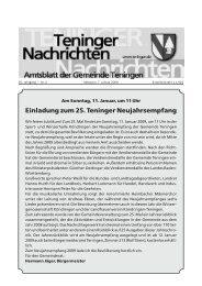 Einladung zum 25. Teninger Neujahrsempfang - Gemeinde Teningen