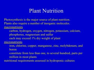 Plant Nutrition.pdf