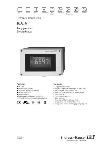 TD Field Indicator RIA16 (PDF 771,0 kB)