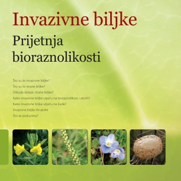 Invazivne biljke