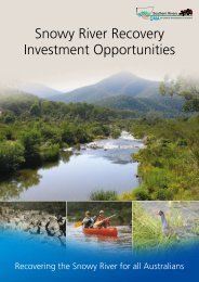 Snowy River Investment Brochure.pdf
