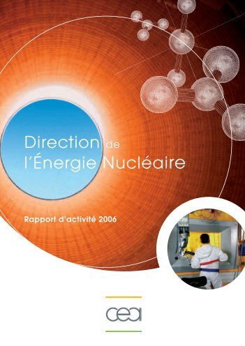 Rapport d'activité de la DEN 2006 - CEA Saclay