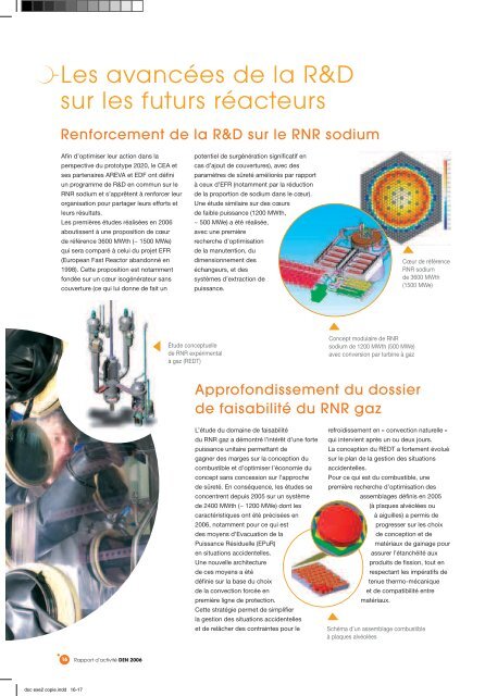 Rapport d'activité de la DEN 2006 - CEA Saclay