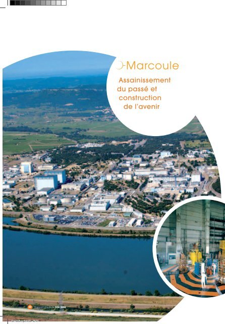 Rapport d'activité de la DEN 2006 - CEA Saclay