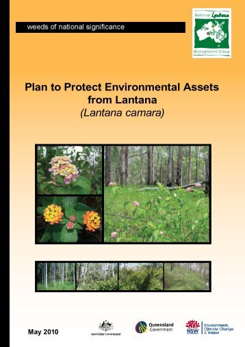 Plan to Protect Environmental Assets from Lantana - Weeds Australia