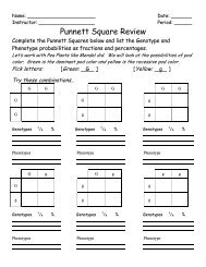 Punnett Square Review