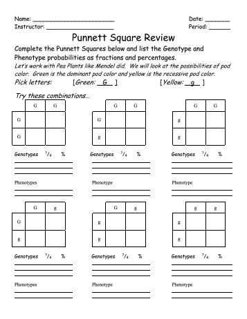 31 Punnett Square Review Worksheet - Free Worksheet Spreadsheet