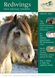 Spring Newsletter 2011:Spring Newsletter 2010 - Redwings