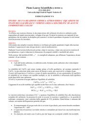 Esperienza 4 - Scheda docenti - La Chimica a Napoli - UniversitÃ  ...