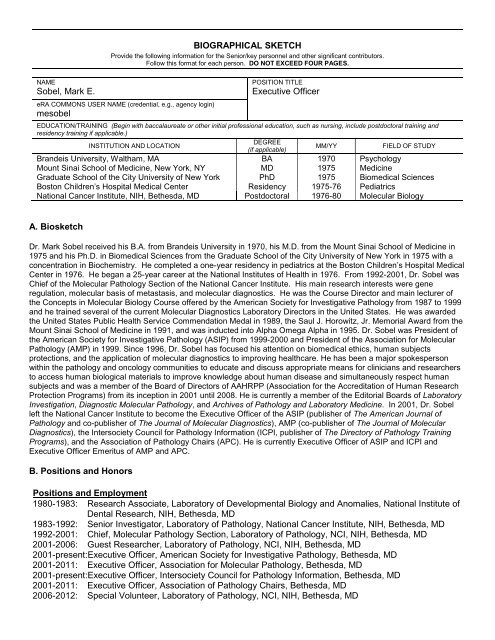 An Environmental Incident Report Template (Free To Download)