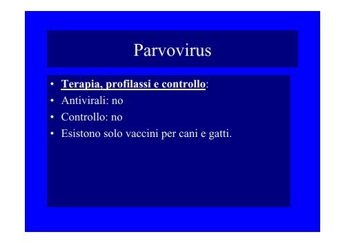 Parvovirus