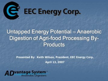 Anaerobic Digestion of Agri-food Processing By-Products