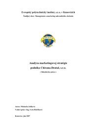 AnalÃ½za marketingovej stratÃ©gie podniku Chirana-Dental, s.r.o.