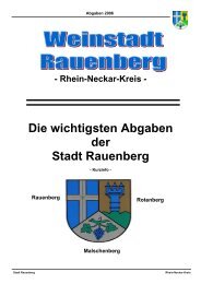 Die wichtigsten Abgaben der Stadt Rauenberg
