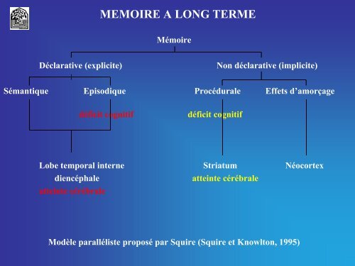 LES FONCTIONS COGNITIVES