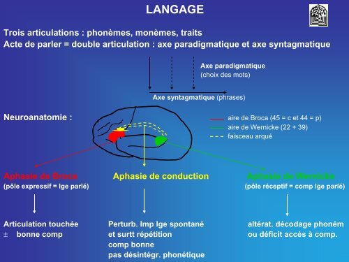 LES FONCTIONS COGNITIVES