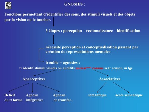 LES FONCTIONS COGNITIVES