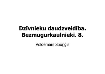 Dzīvnieku daudzveidība. Bezmugurkaulnieki. 8.