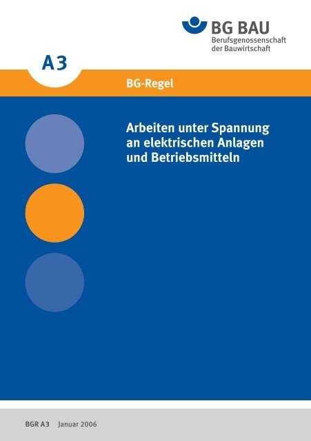 BGR A3 - Arbeiten unter Spannung an elektrischen ... - CleanUp-Solar