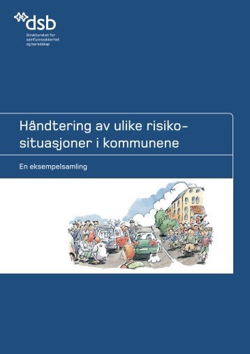 HÃ¥ndtering av ulike risikosituasjoner i kommunene - Direktoratet for ...