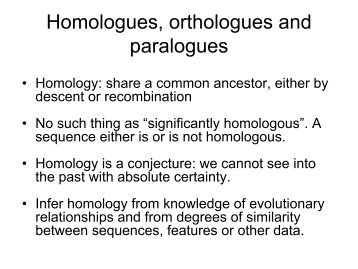 Homologues, orthologues and paralogues