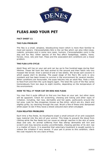 FLEAS AND YOUR PET - Denes Natural Pet Care