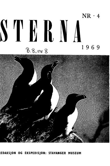 Sterna, bind 8 nr 8 (PDF-fil) - Museum Stavanger