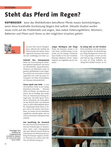 Steht das Pferd im Regen? (pdf / 869 KB) - Hypona