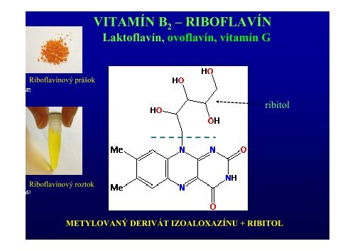 VITAMÃNY a KOENZÃMY