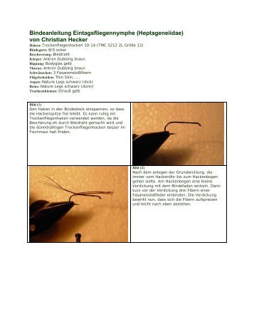 Bindeanleitung Eintagsfliegennymphe (Heptageneiidae) von ...