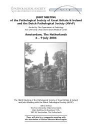 2004 Summer Meeting - Amsterdam - The Pathological Society of ...