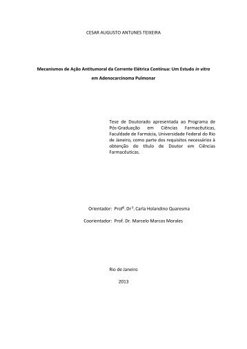 CESAR AUGUSTO ANTUNES TEIXEIRA Mecanismos de ... - UFRJ