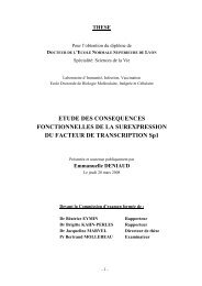 Etude des consÃ©quences fonctionnelles de la surexpression du ...