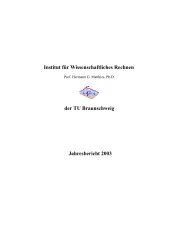 Jahresbericht 2003 - Institut fÃƒÂ¼r Wissenschaftliches Rechnen ...