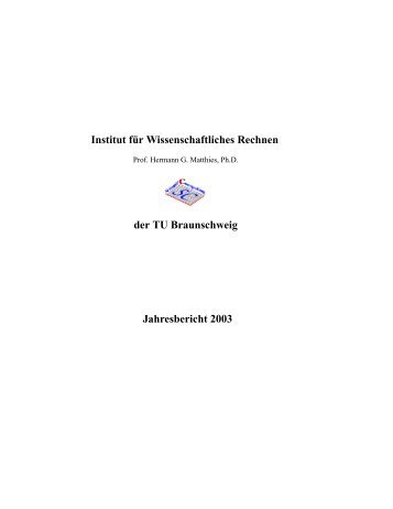 Jahresbericht 2003 - Institut fÃƒÂ¼r Wissenschaftliches Rechnen ...